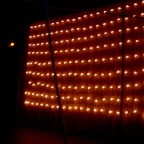CLTA Scaff and Bulbs