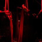 IMG_0682